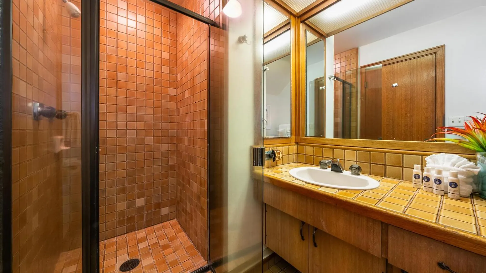 Дом отдыха Kapalua Ridge Villas 1011 Кахана